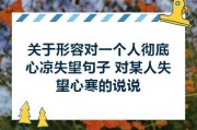当温度从心头褪去：凝视失望的视觉独白
