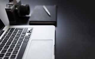 沙漠萌宠误尝柠檬的奇妙一刻